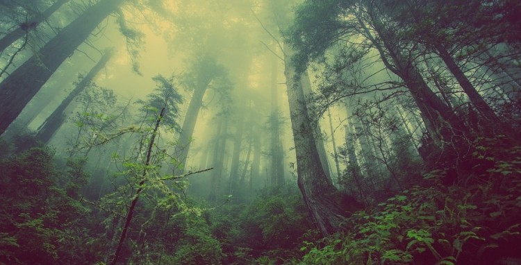 HP rivela i suoi nuovi obiettivi come abilitatore di economie circolari e a basso impatto ambientale