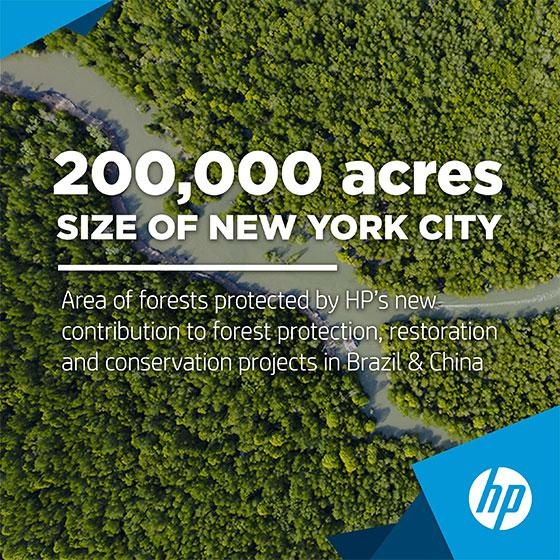HP collabora con il WWF per la protezione, la rigenerazione e la gestione delle foreste
